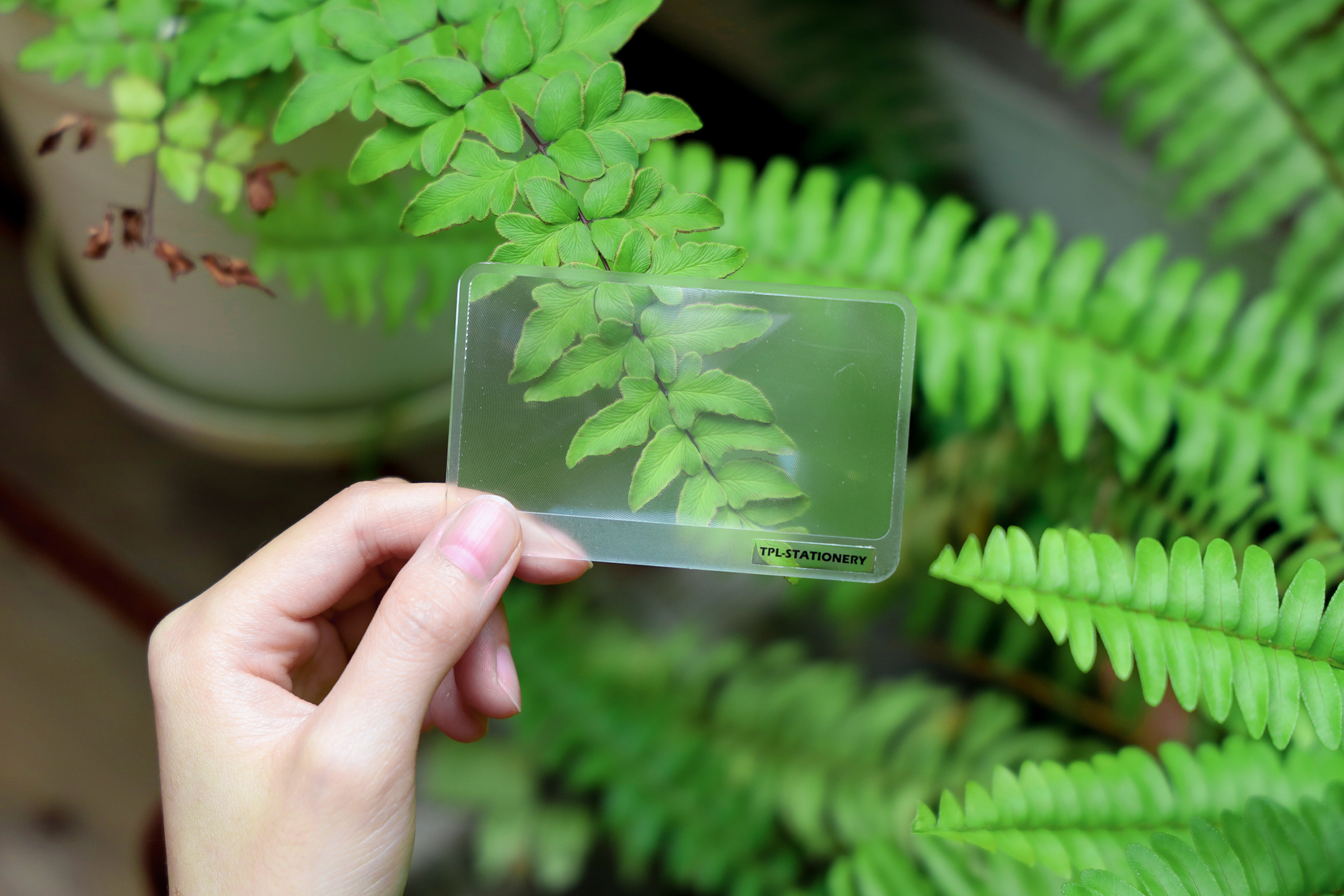 TPL STATIONERY_Fresnel名片式放大鏡_OT013 (7)