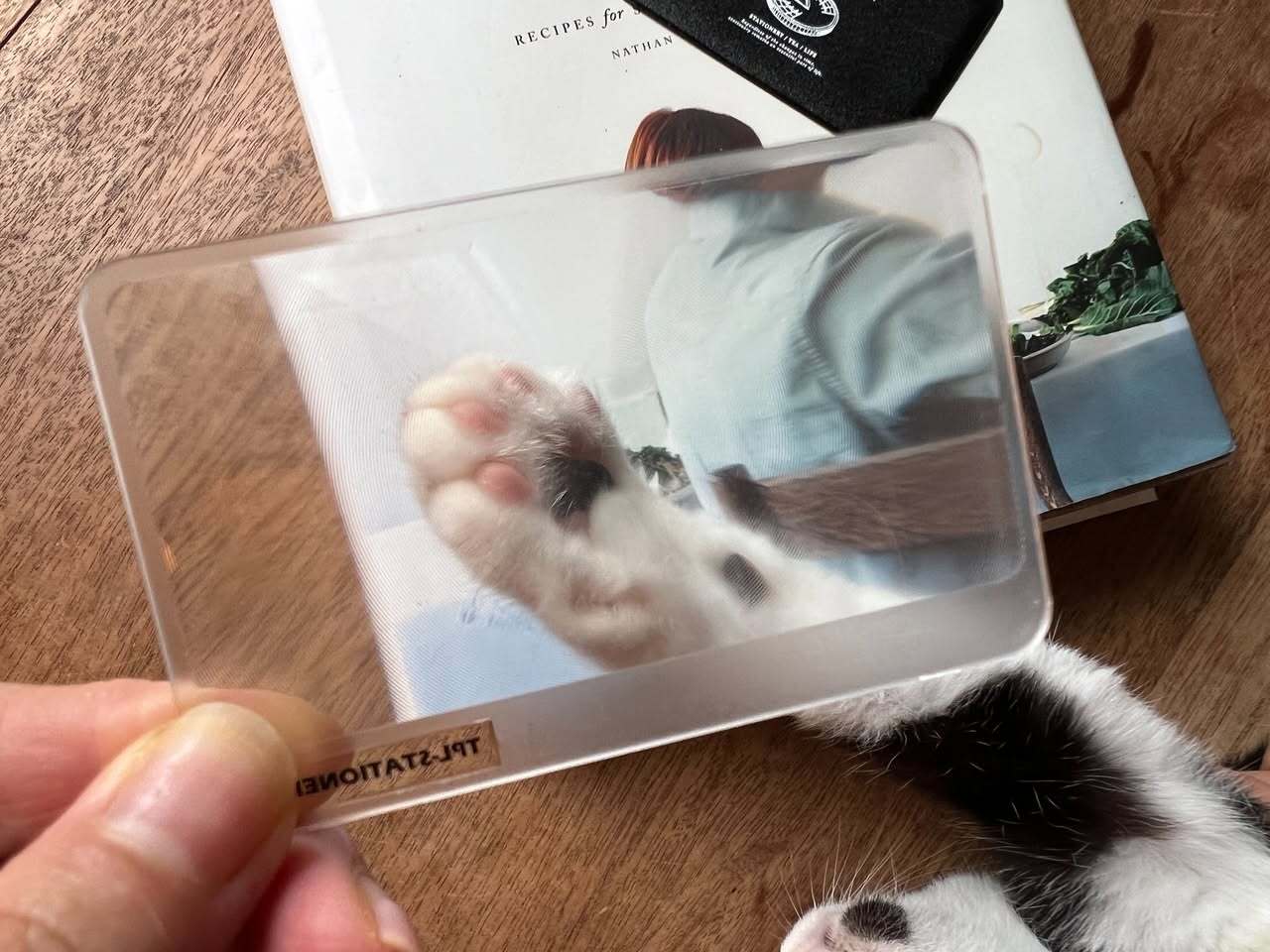 509349637_30892579996995979_3645818844818653482_n