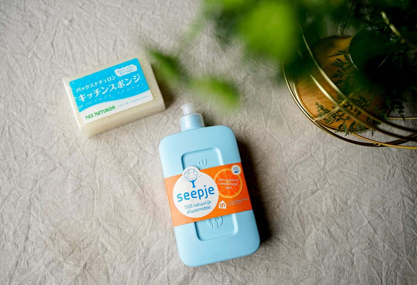 506623867_30807287315525248_6258964270336884180_n