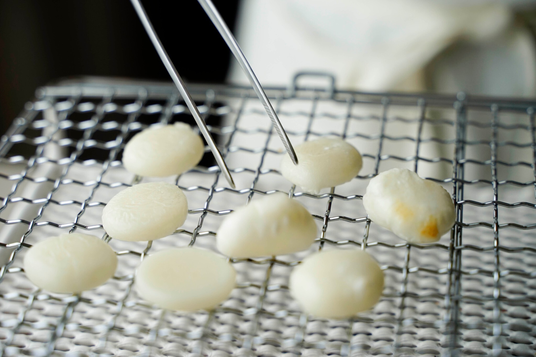 505890923_30804285875825392_862504143996587517_n