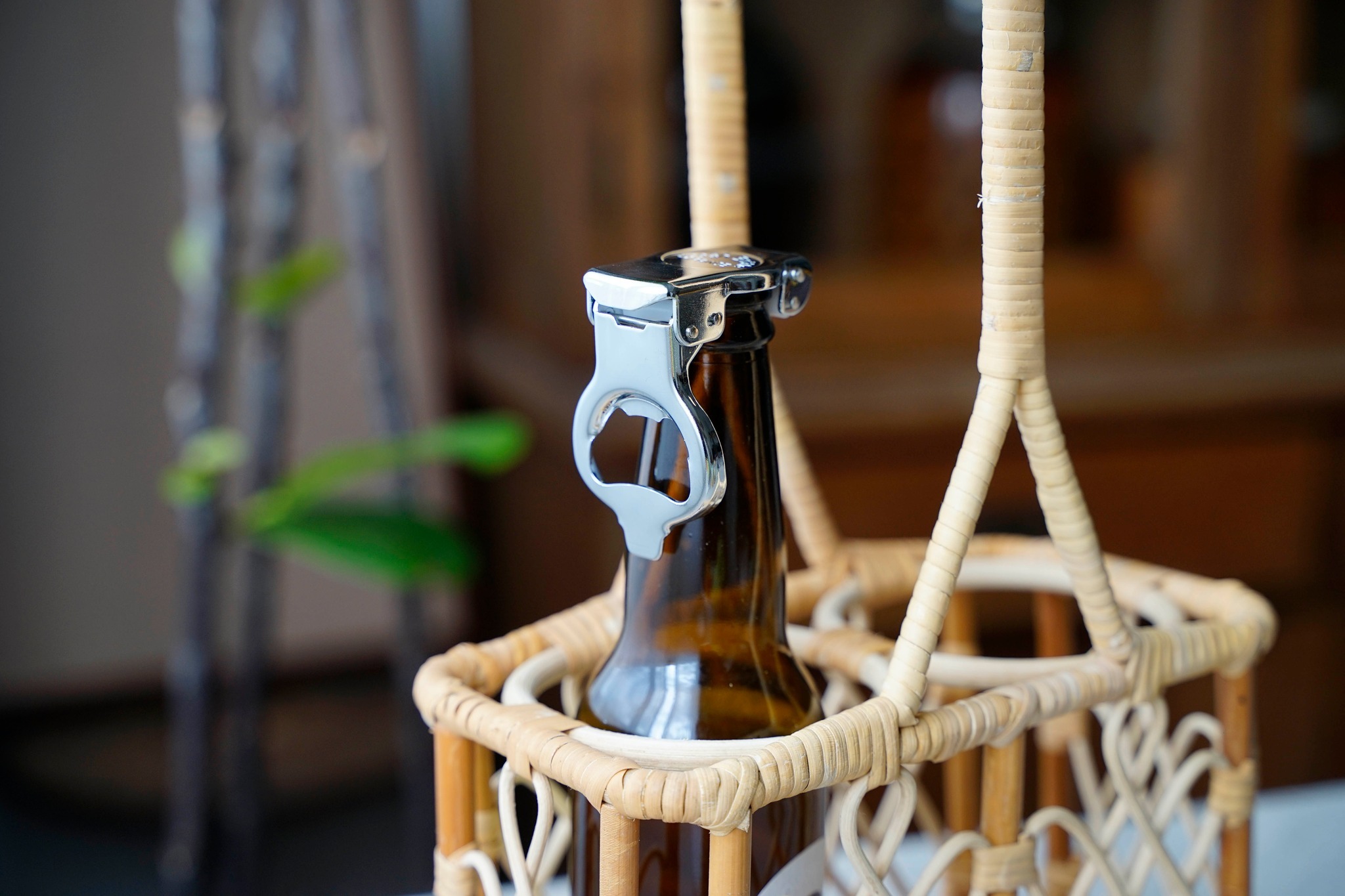 491788073_29996491526604835_3966949579295666925_n