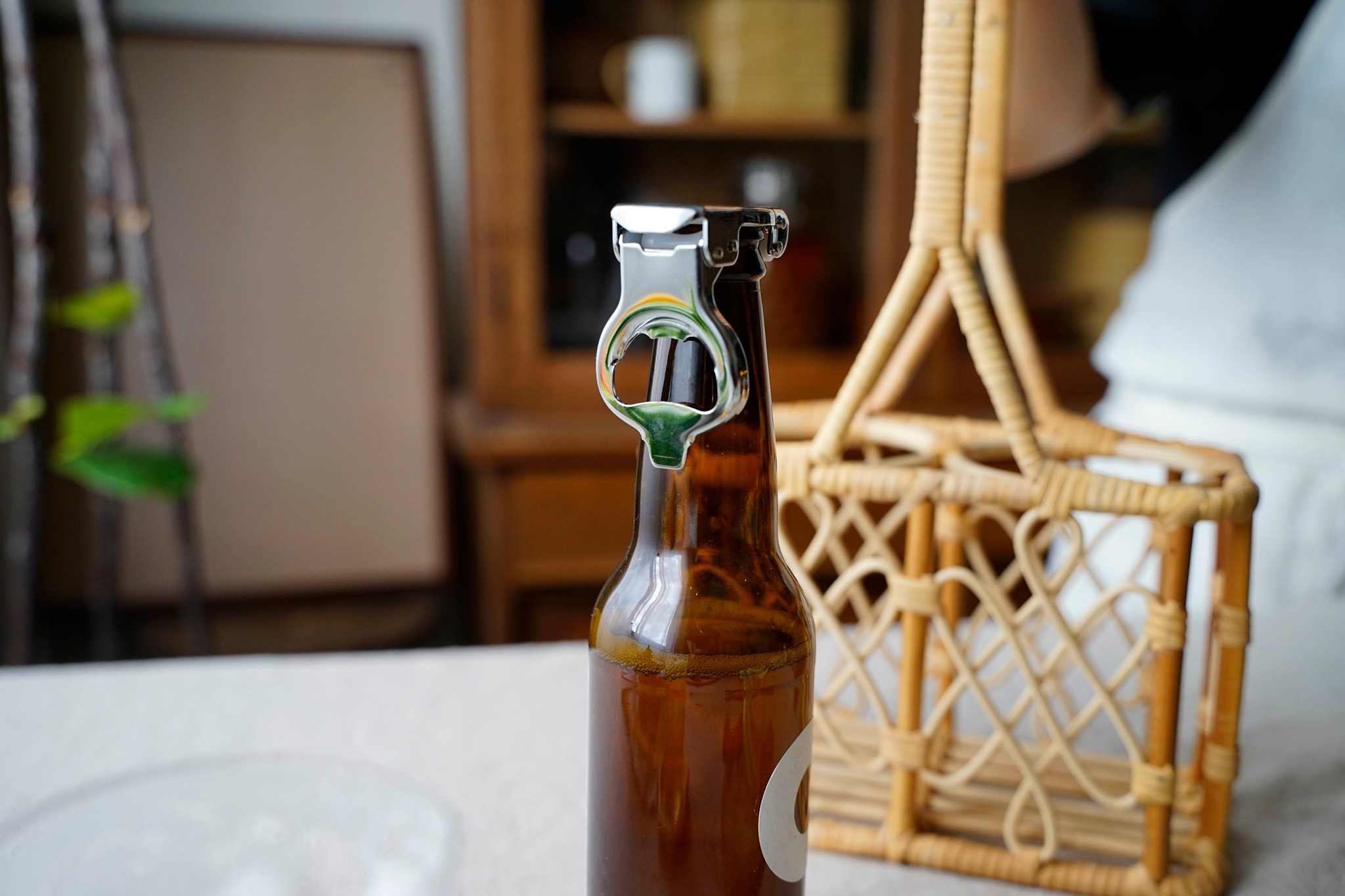 492020526_29996491269938194_2448847546801904402_n