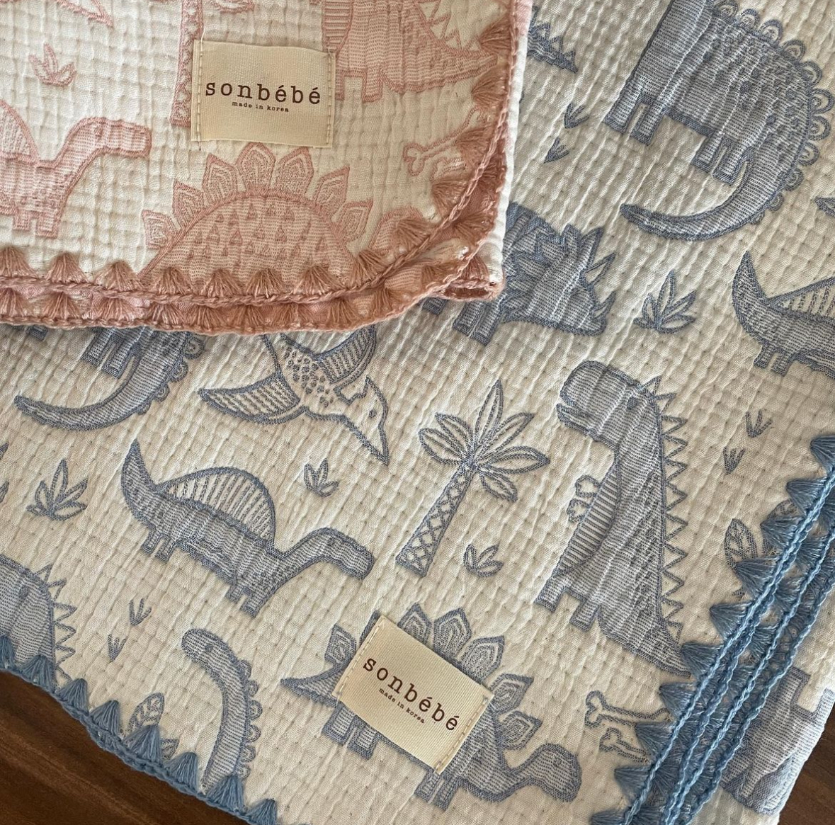 IMG_2919-1707971849572