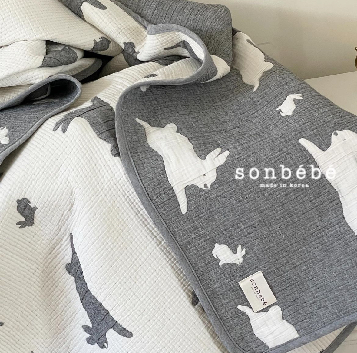 IMG_2914-1707971849577