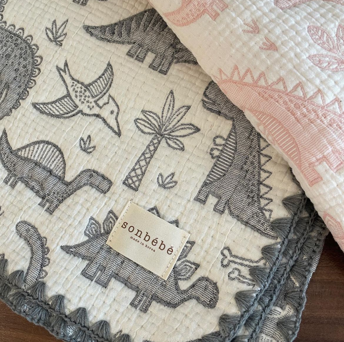 IMG_2921-1707971849580