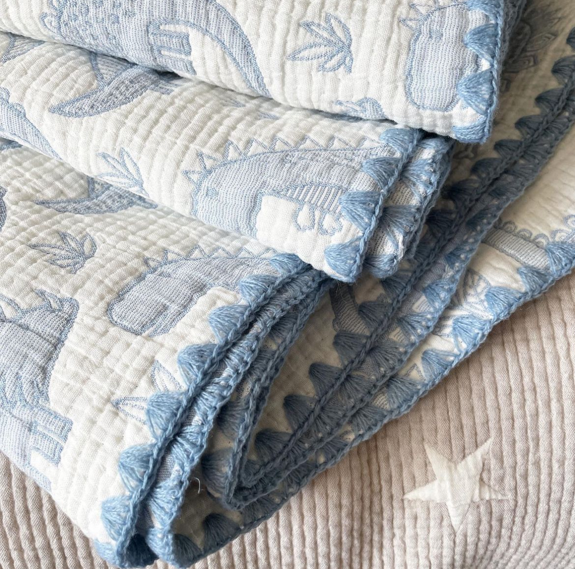 IMG_2923-1707971849653