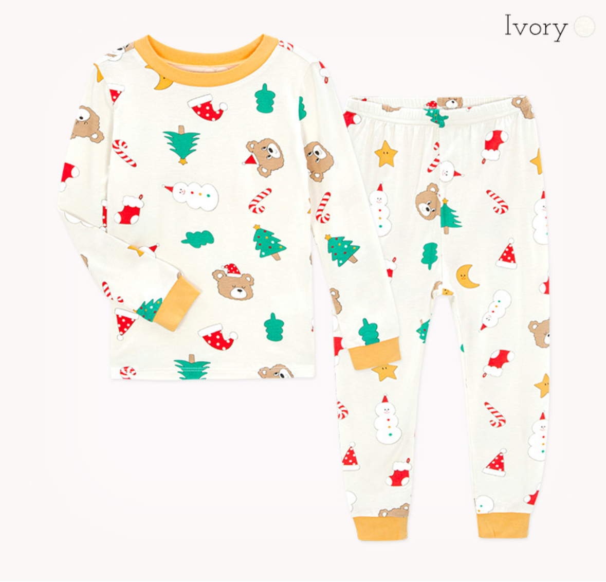 IMG_2541-1730711089486