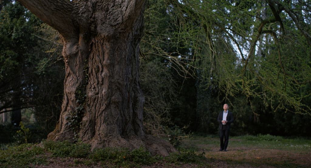 SF_Still_1_© Pandora Film