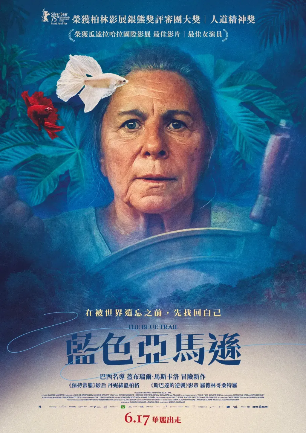 藍色亞馬遜_小檔
