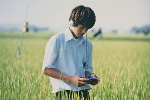 Lily_013
