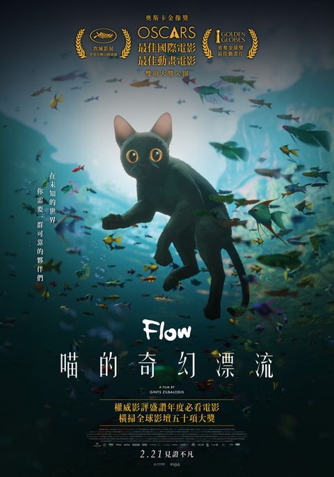 0221《喵的奇幻漂流》_正式海報