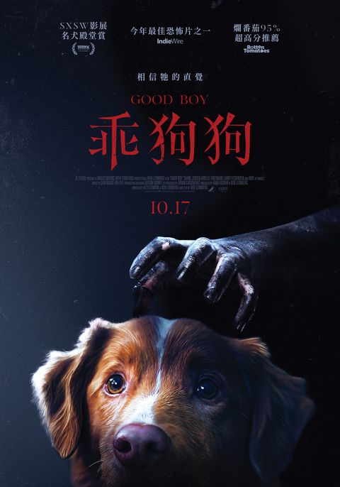 10.17《乖狗狗》台版正式海報｜好威映象