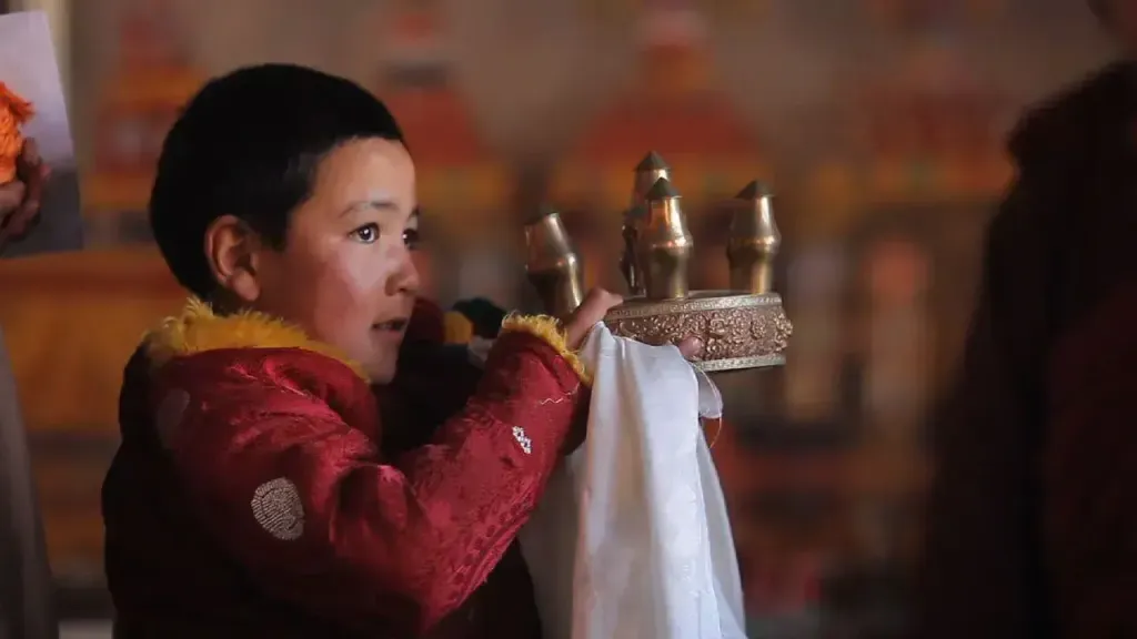 176629054433196_P34012614