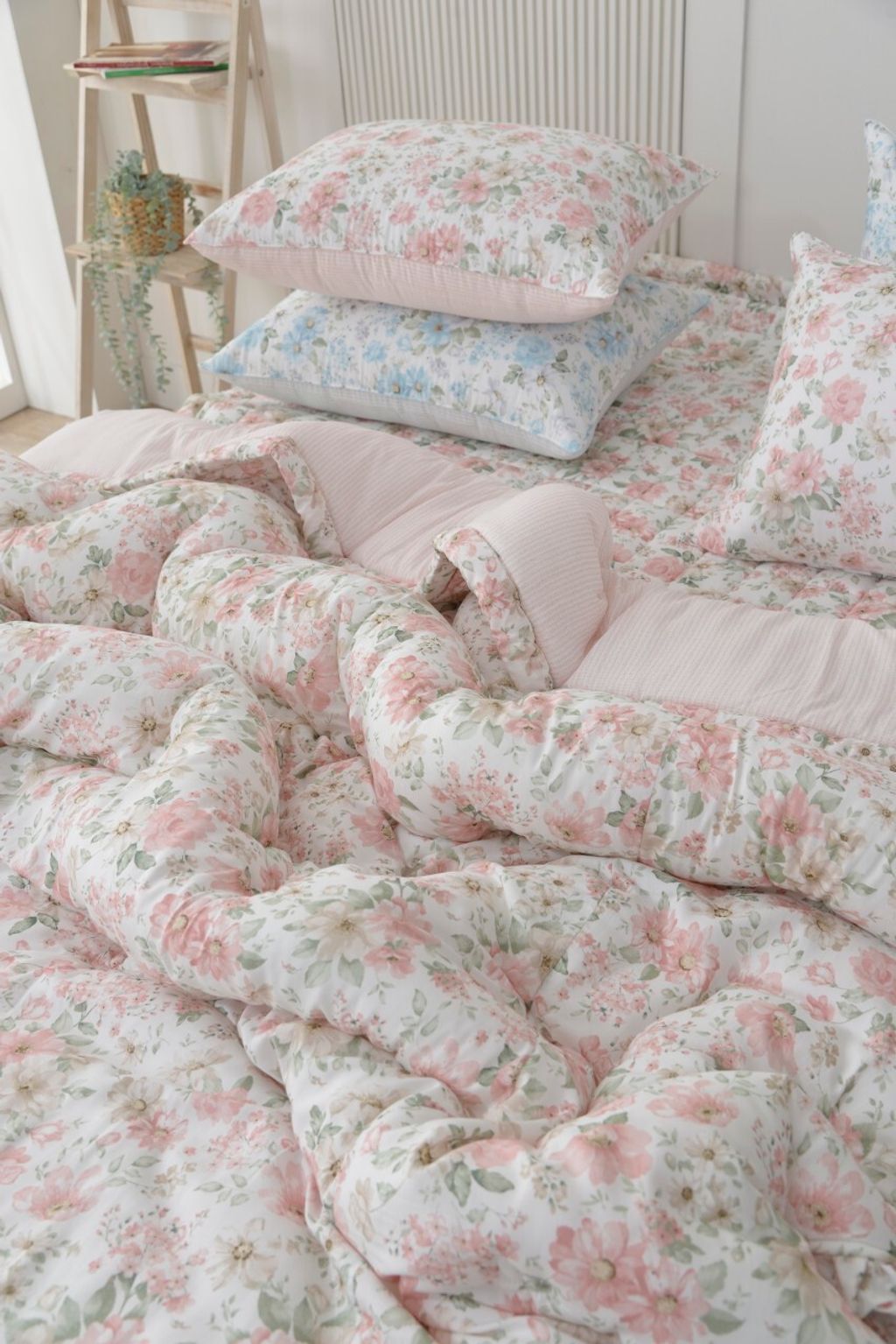 아띠침장_照片_20260122_11