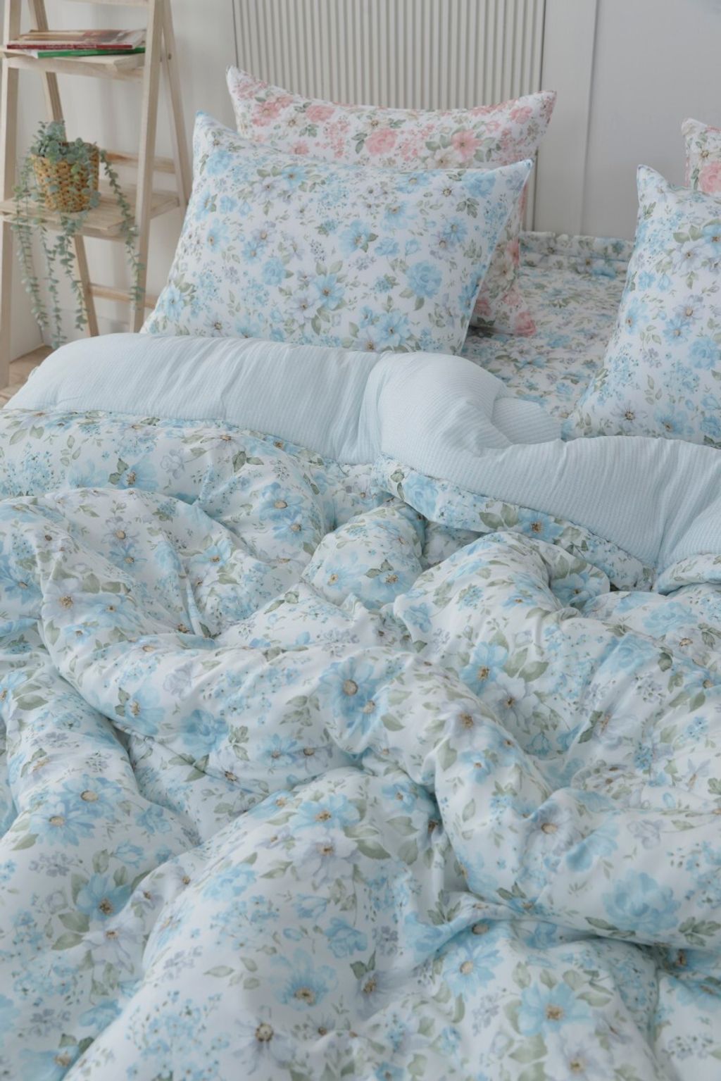 아띠침장_照片_20260122_45