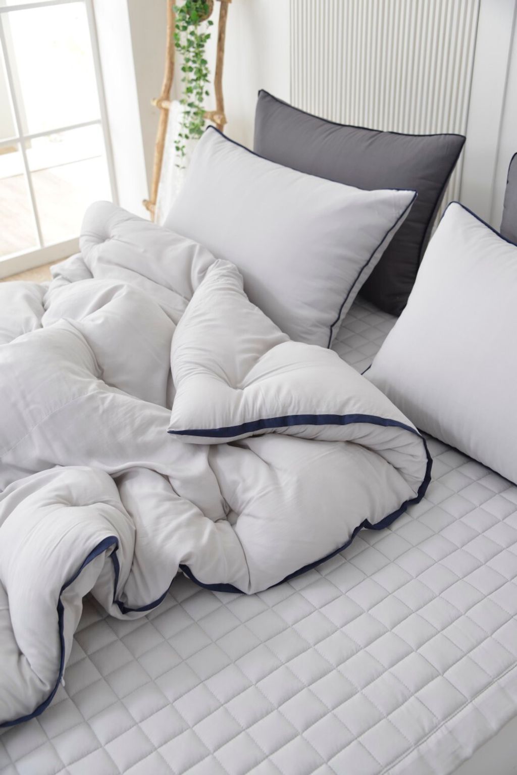 아띠침장_照片_20260113_54