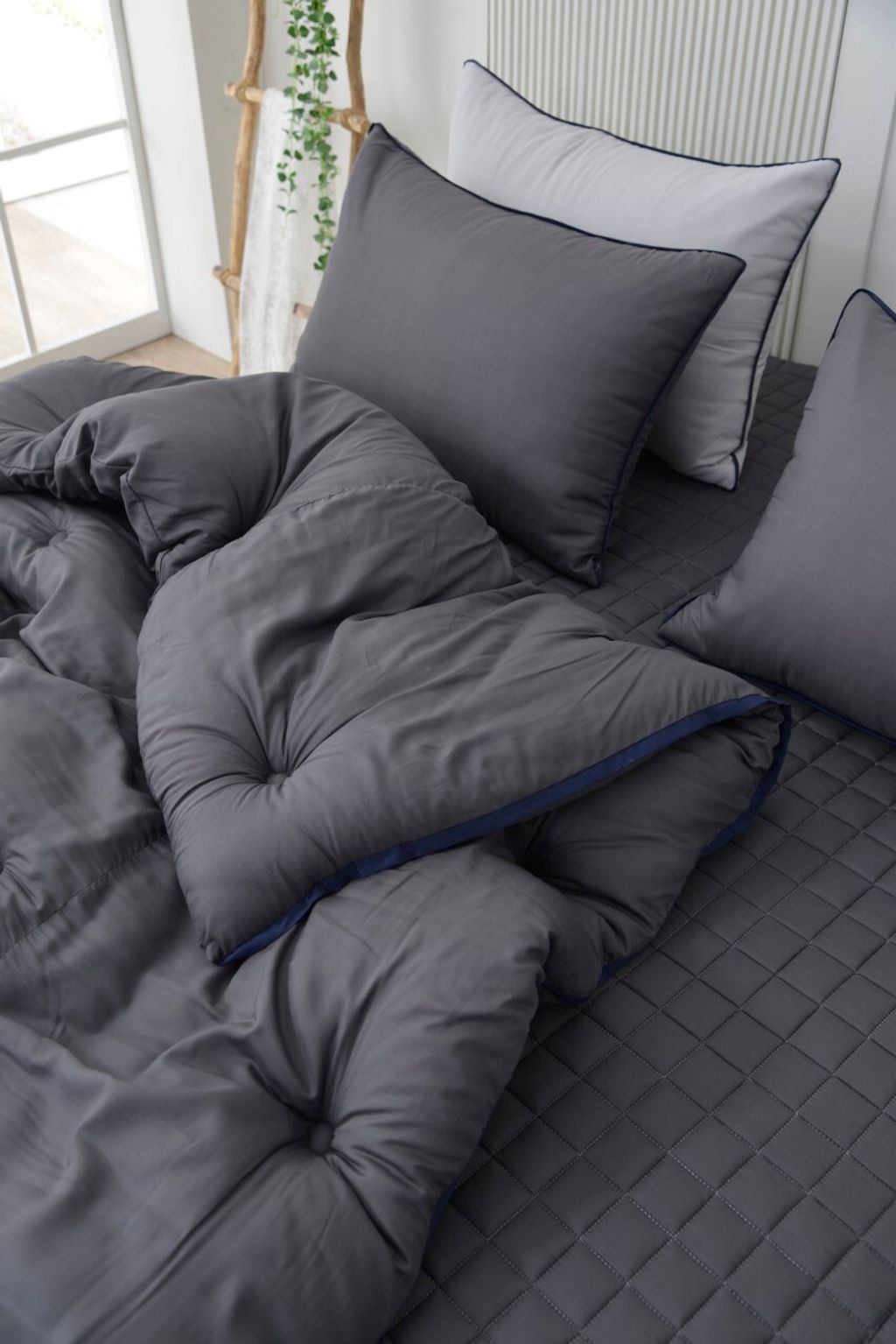 아띠침장_照片_20260113_78