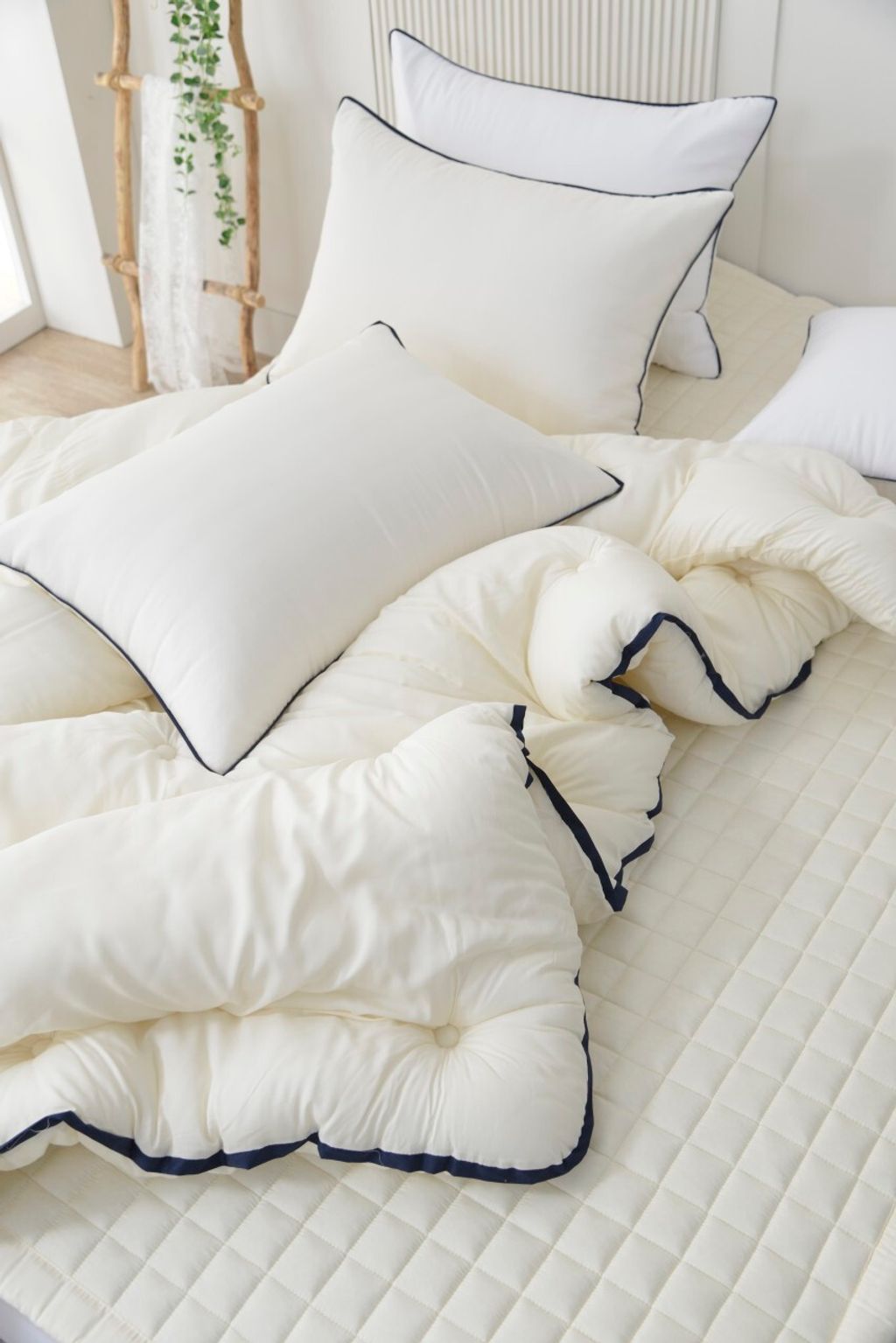 아띠침장_照片_20260113_33