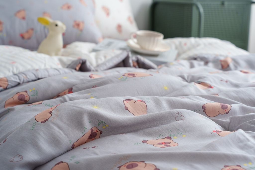 DOTOMI(도토미)침장_照片_20251028_12