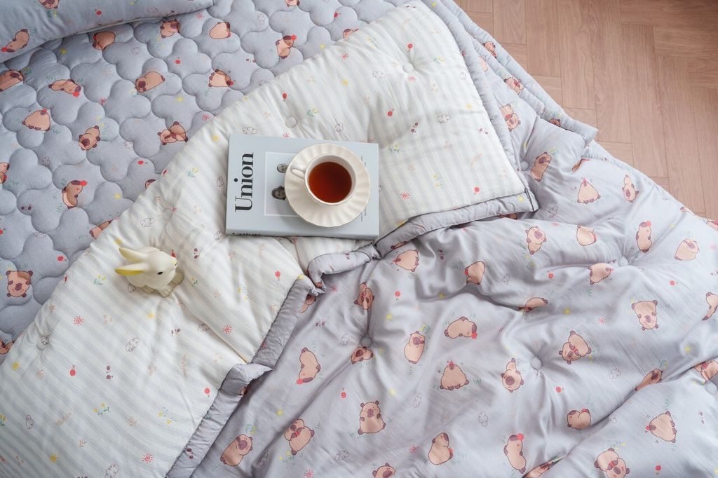 DOTOMI(도토미)침장_照片_20251028_11