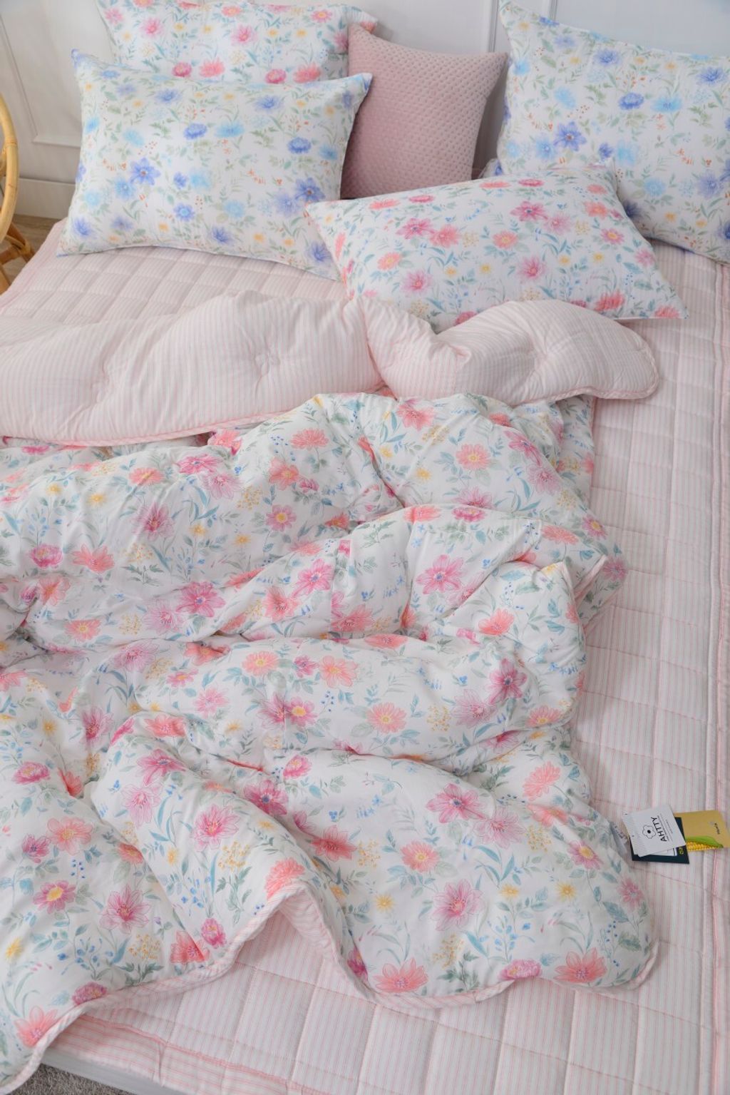 아띠침장_照片_20260305_14