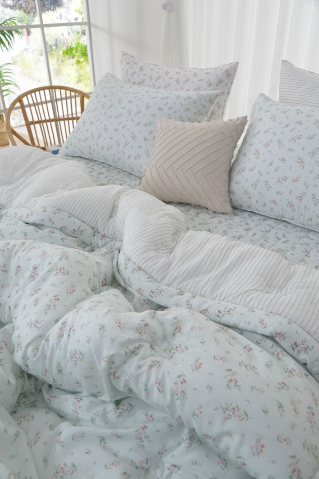 아띠침장_照片_20260212_41