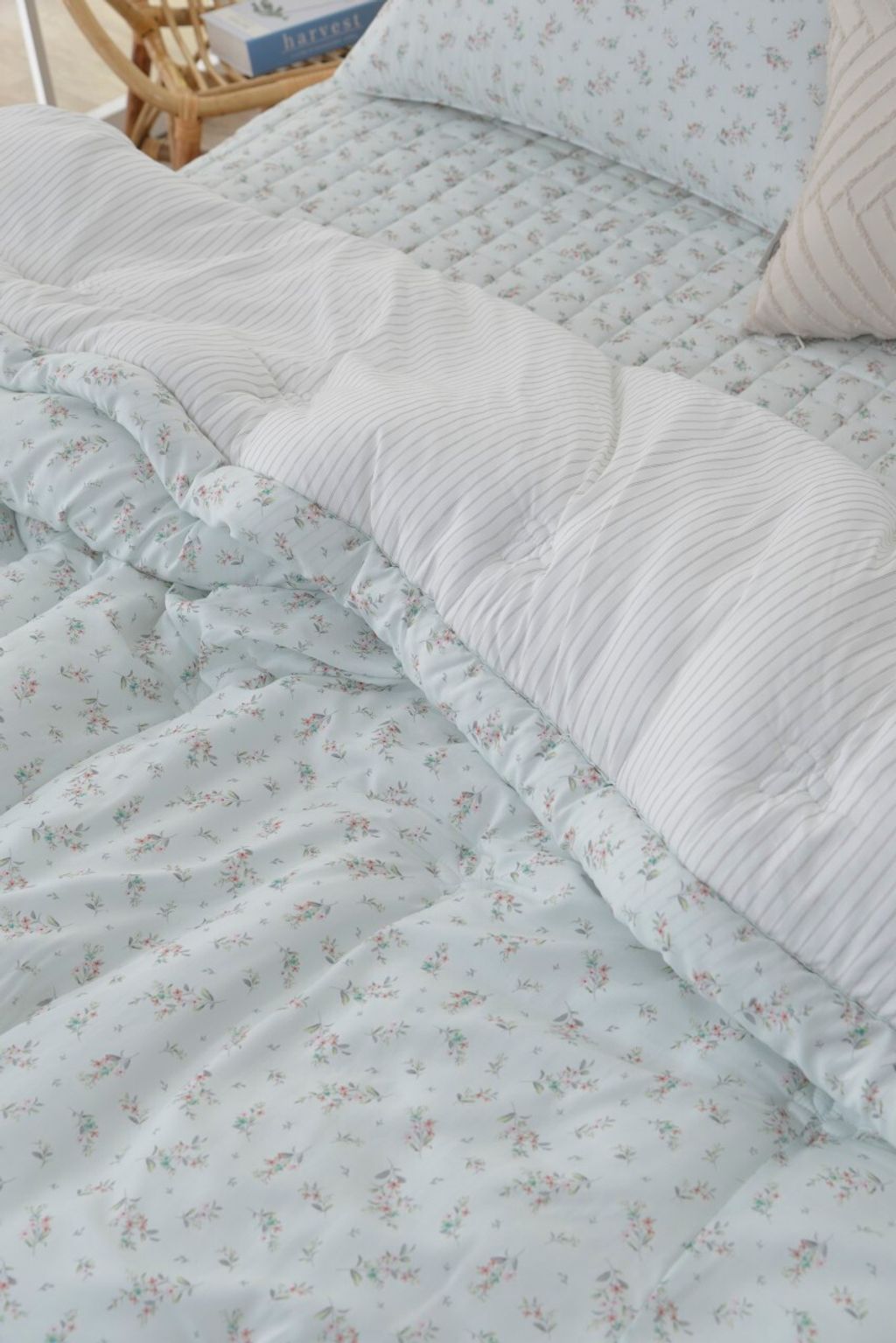 아띠침장_照片_20260212_35