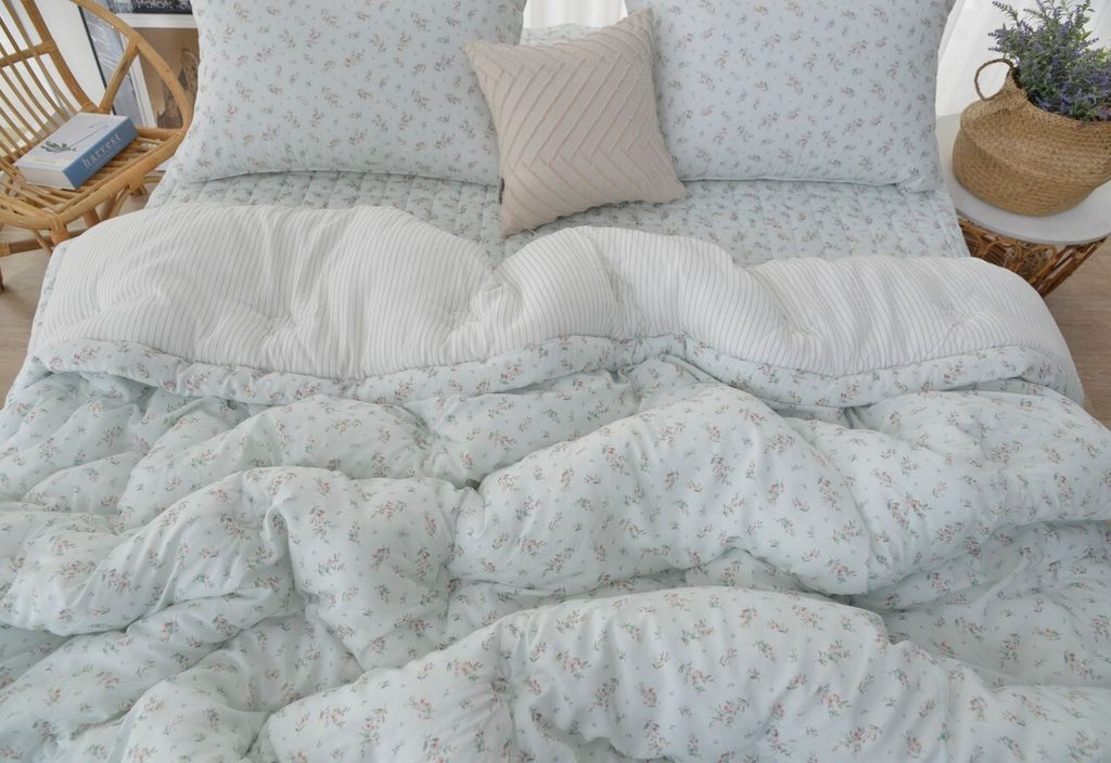 아띠침장_照片_20260212_40