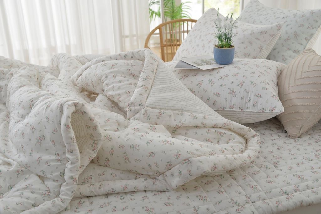 아띠침장_照片_20260212_20