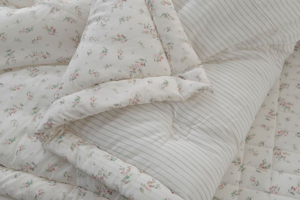 아띠침장_照片_20260212_18