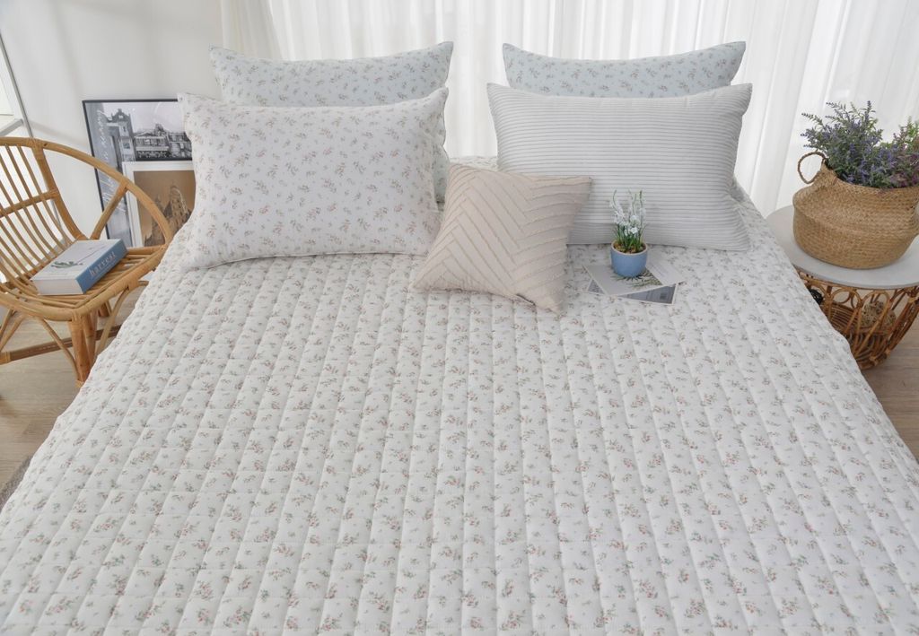 아띠침장_照片_20260212_27