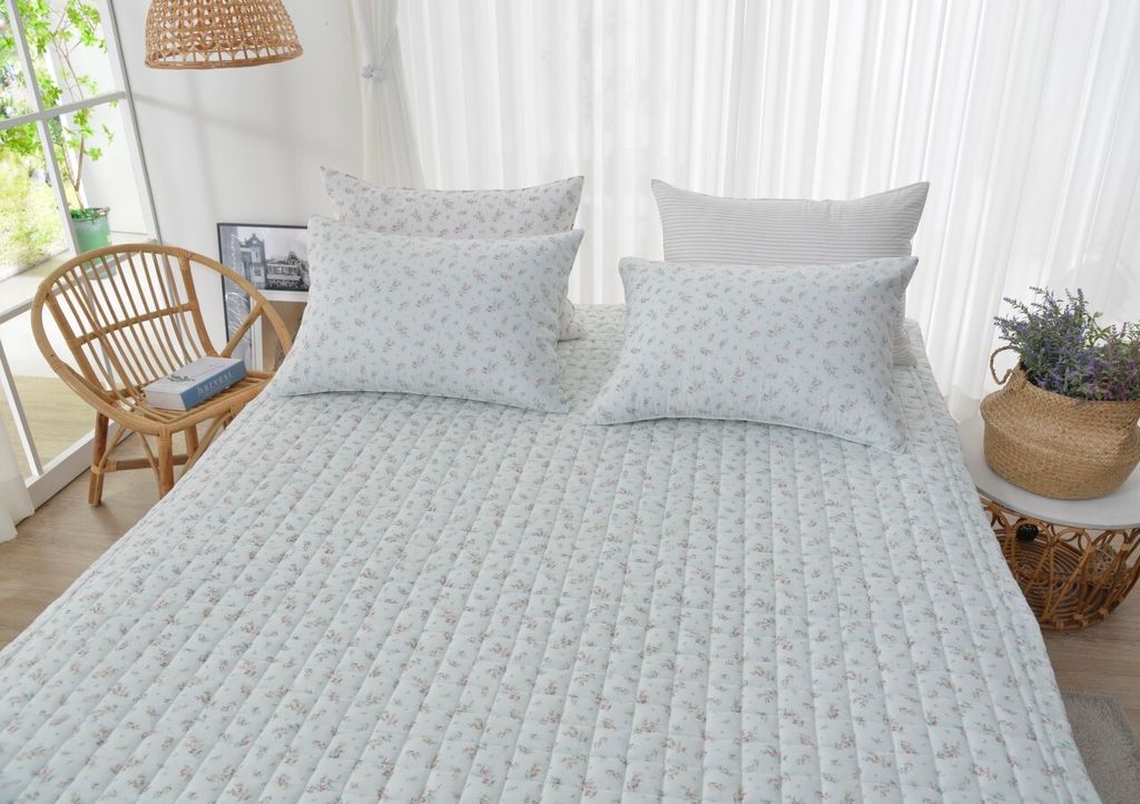 아띠침장_照片_20260212_58