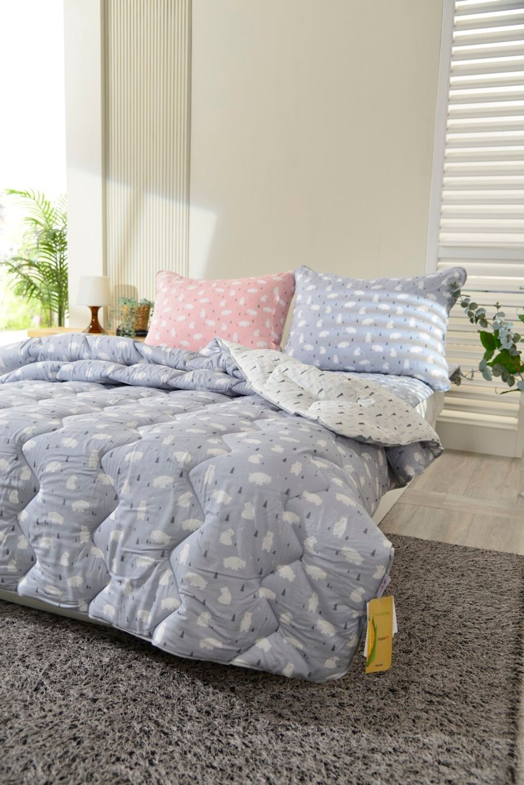 아띠침장_照片_20230901_28