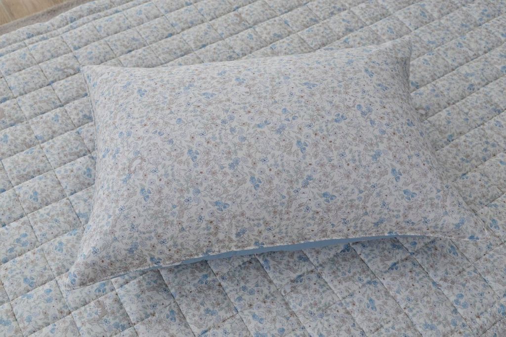 아띠침장_照片_20250916_57