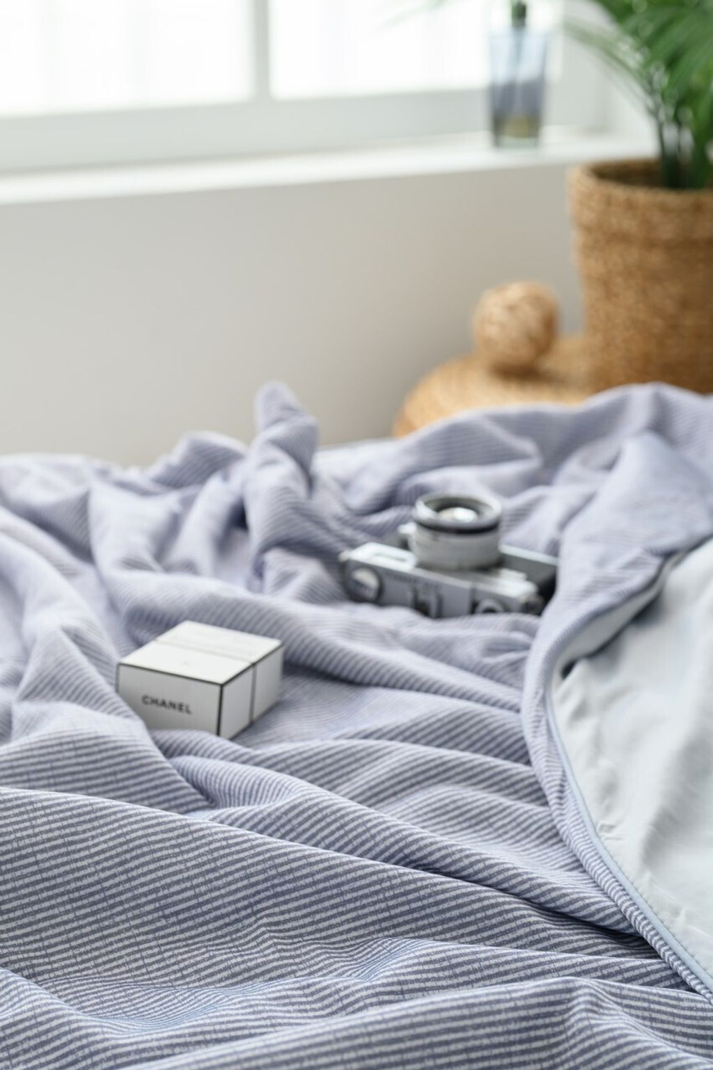 DOTOMI(도토미)침장_照片_20250502_11