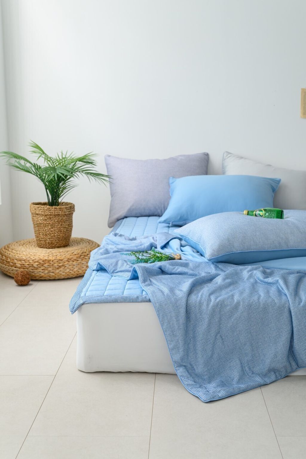 DOTOMI(도토미)침장_照片_20250502_31