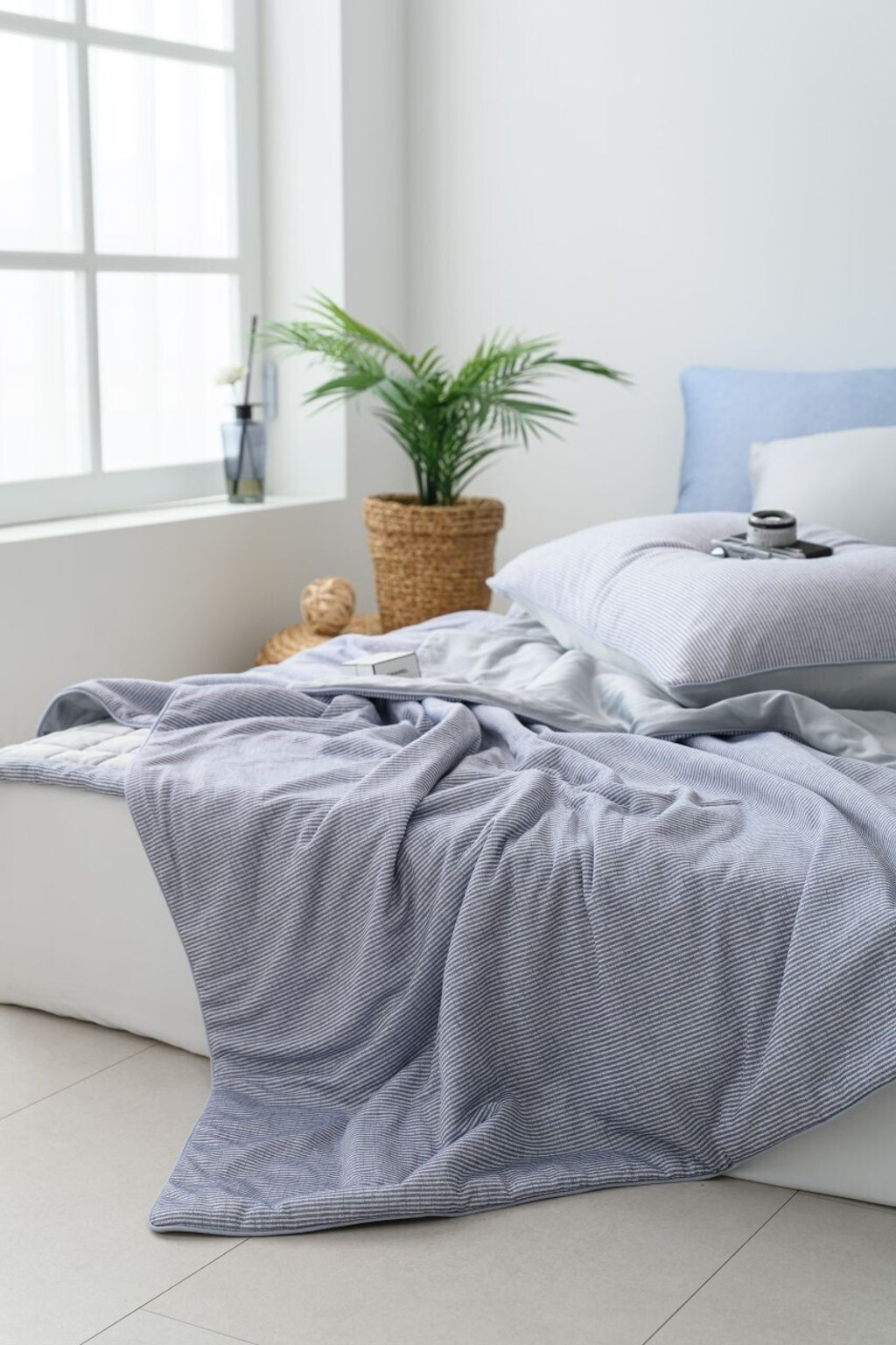 DOTOMI(도토미)침장_照片_20250502_14