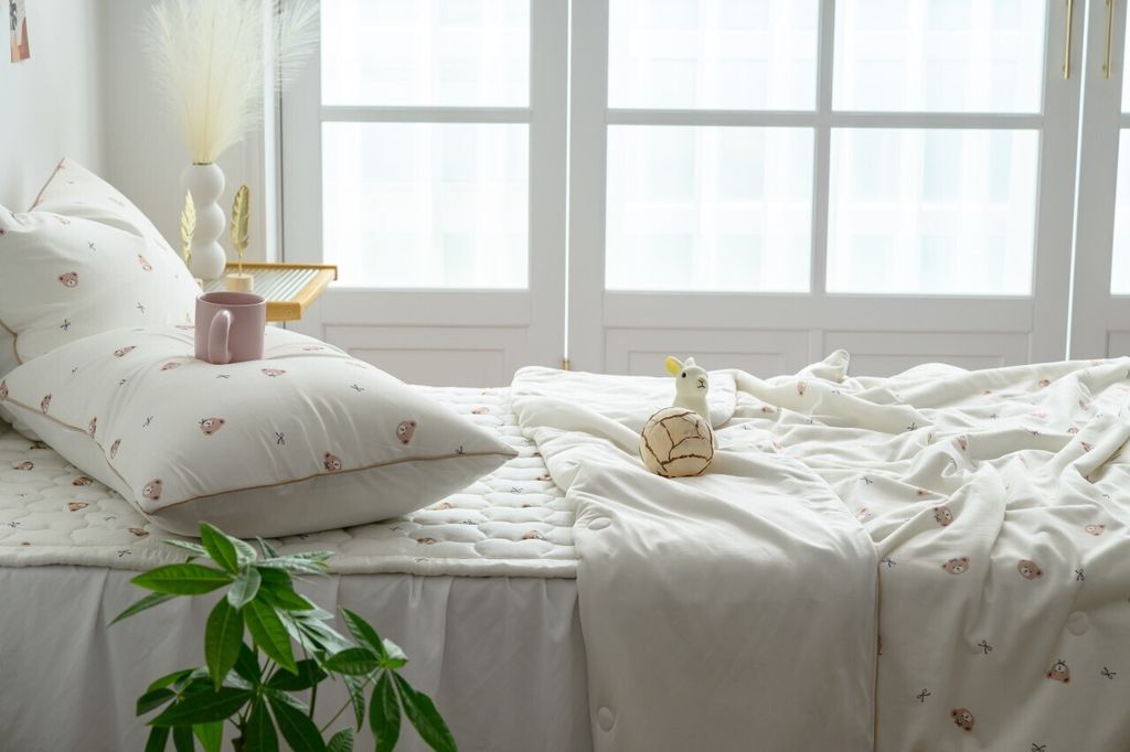 DOTOMI(도토미)침장_照片_20250502_16