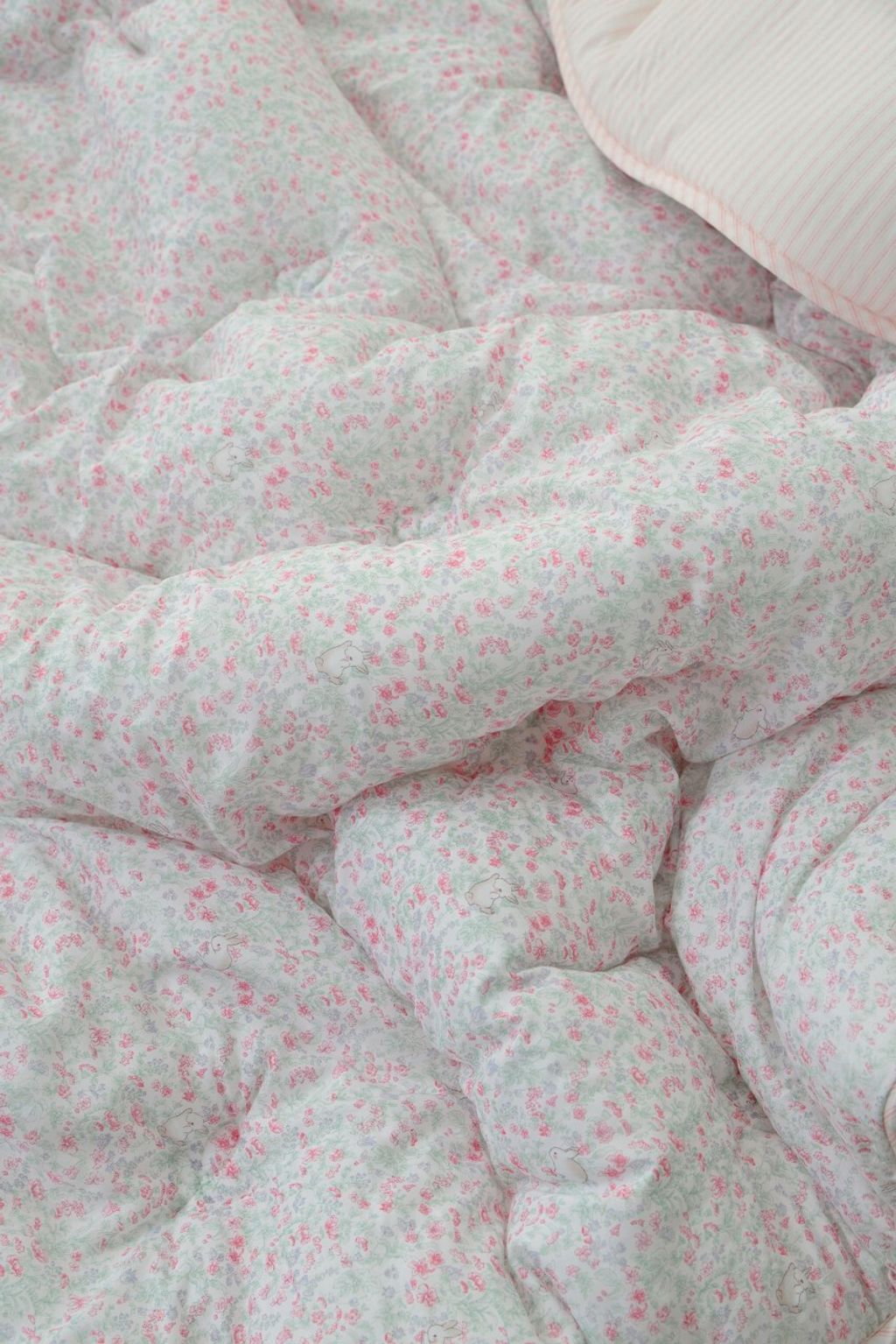 아띠침장_照片_20260305_3