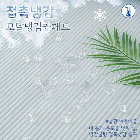 SONG HWA INDECO_照片_20250326_1