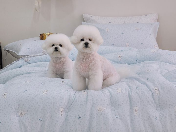 따시온_照片_20250217_1