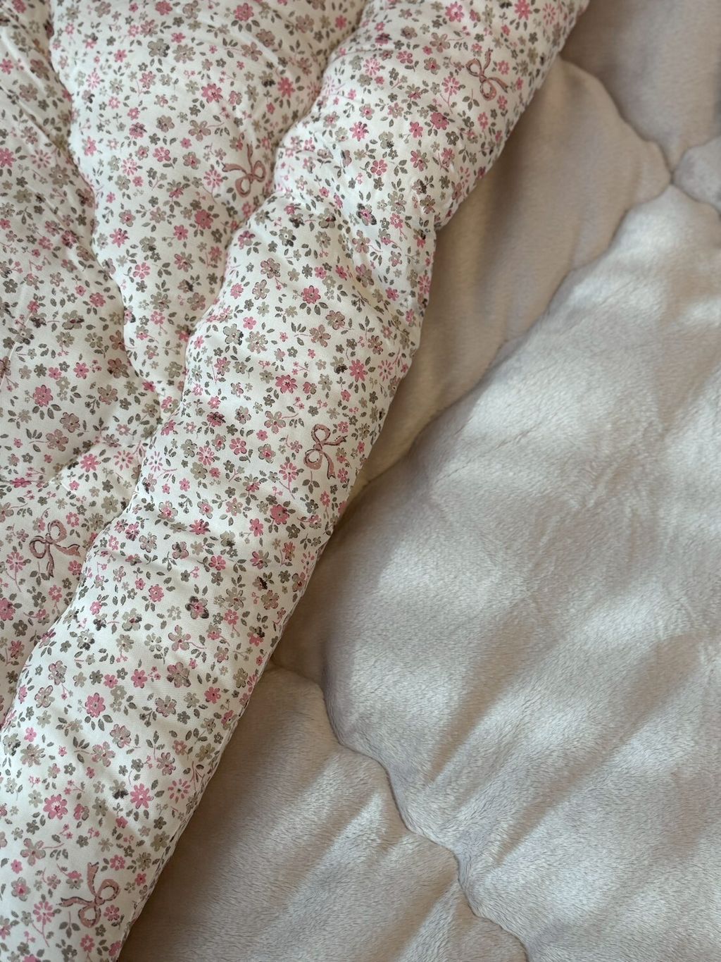 LINE_ALBUM_20251114_251114_5