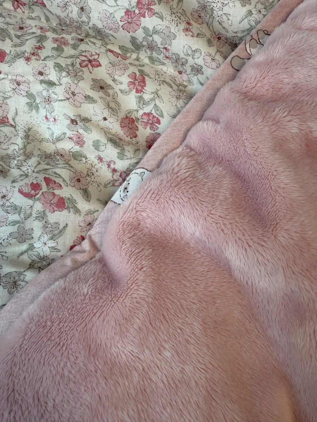 LINE_ALBUM_20251114_251114_131