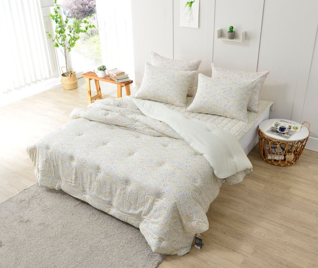 아띠침장_照片_20240902_30