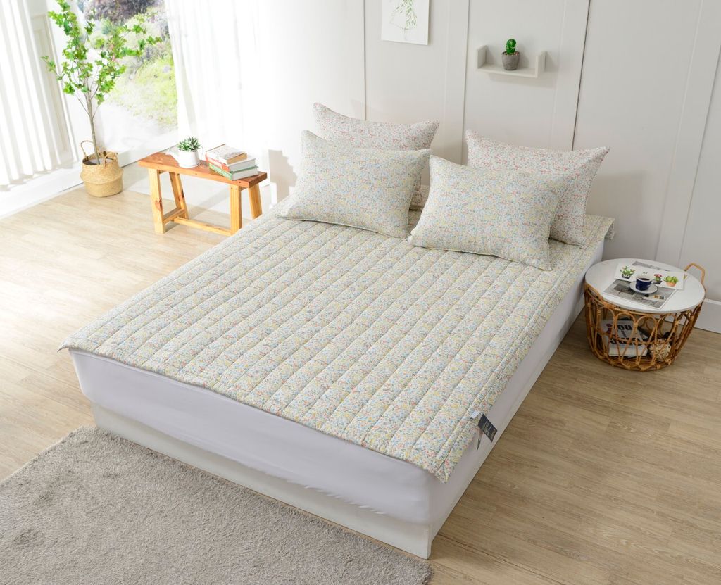 아띠침장_照片_20240902_50