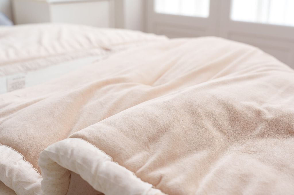 DOTOMI(도토미)침장_照片_20251125_9