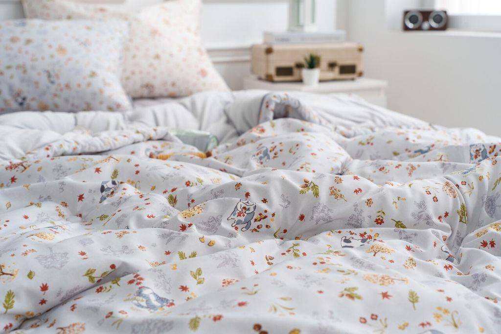 DOTOMI(도토미)침장_照片_20251125_16