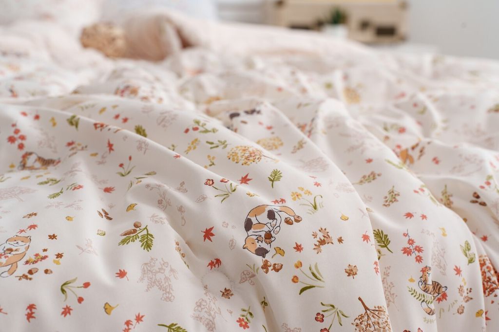 DOTOMI(도토미)침장_照片_20251125_42