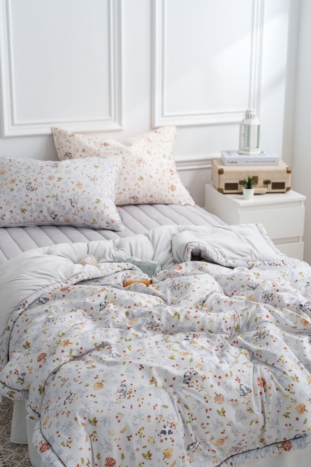 DOTOMI(도토미)침장_照片_20251125_18