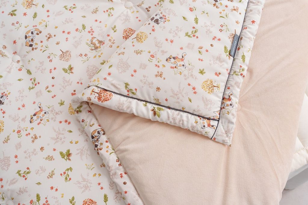 DOTOMI(도토미)침장_照片_20251125_33